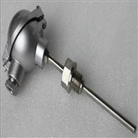 WZP液壓(ya)溫度變送(sòng)器